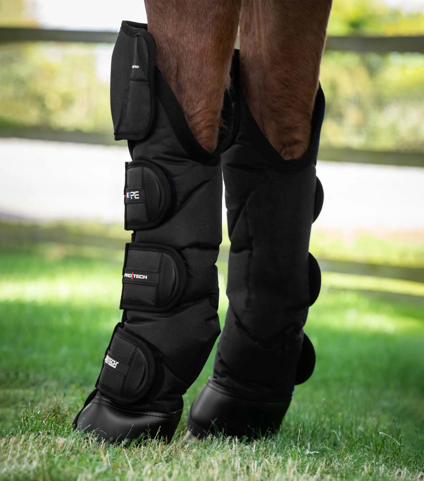 Ballistic Knee Pro-Tech Horse Travel Boots Black