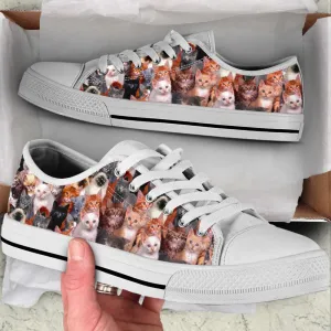 Cat Lover Shoes Cat Background Low Top Shoes Canvas Shoes Print Lowtop, Cat Canvas Shoes