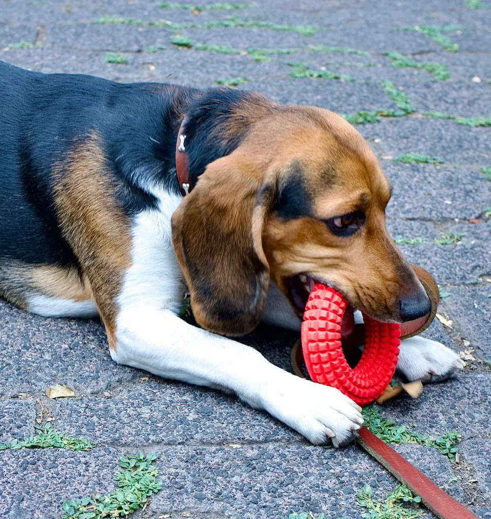 Dog Chew Toys for Aggressive Chewers - Chew Ring Interactive Medium Large Dog Puzzle Toys