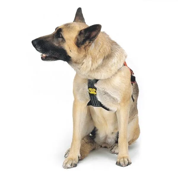 Kong SMEUS Dog Harness