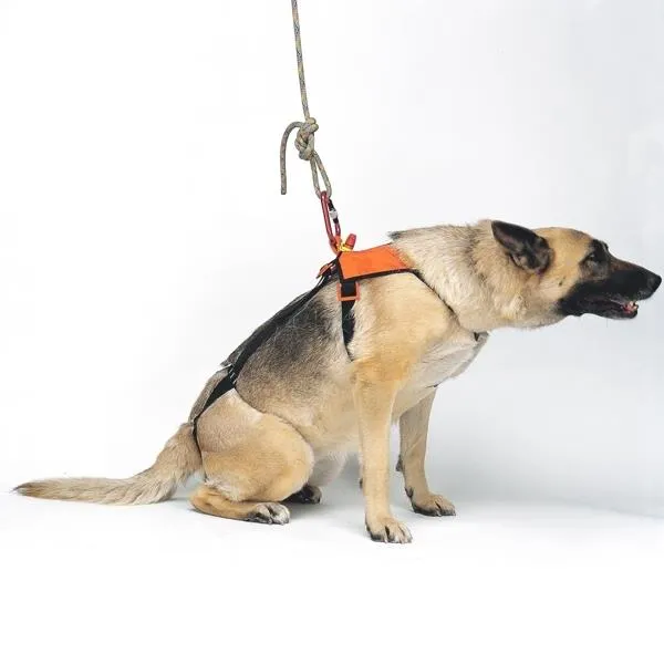 Kong SMEUS Dog Harness