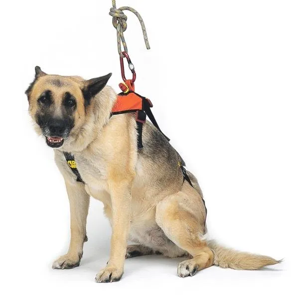 Kong SMEUS Dog Harness