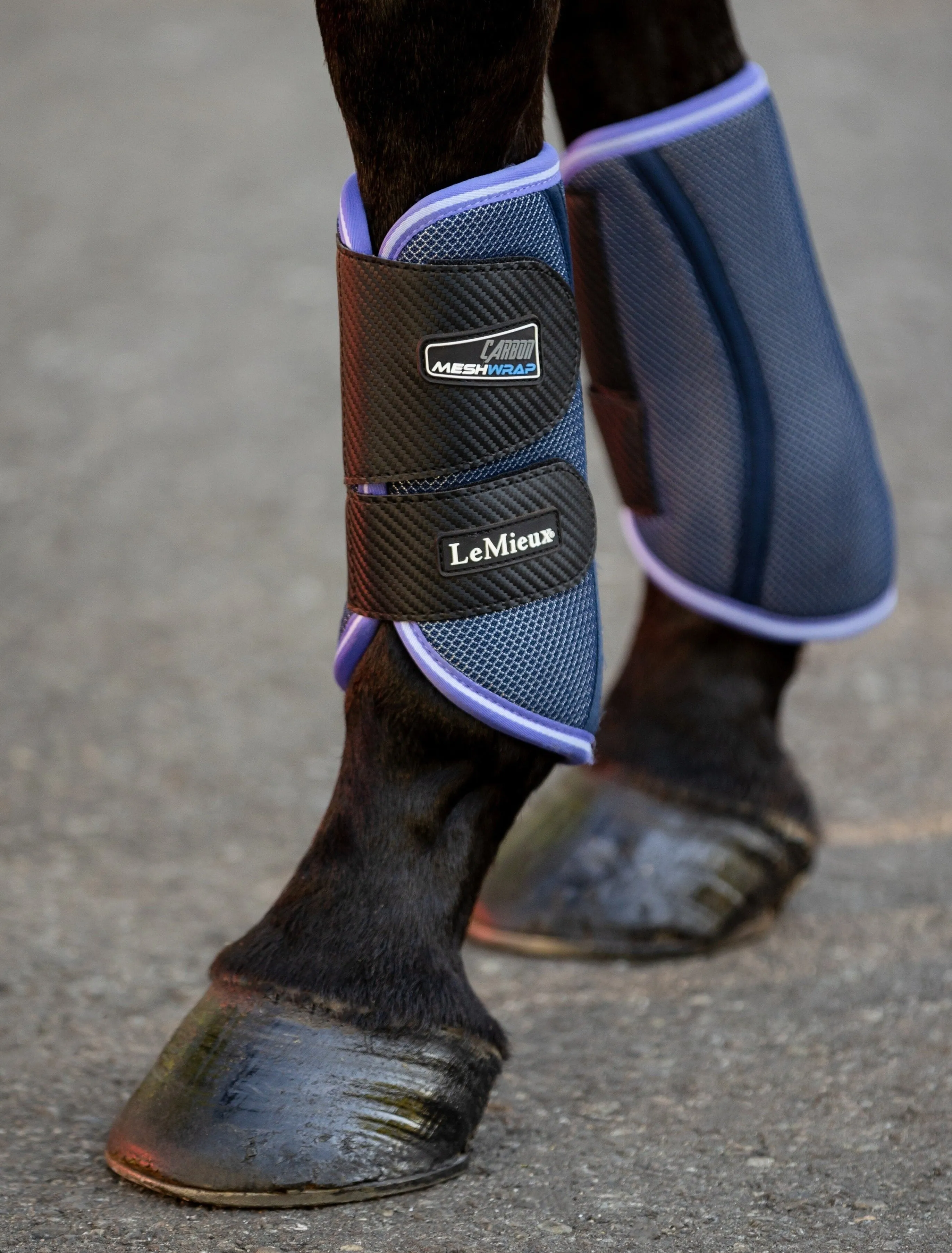 LeMieux Carbon Mesh Wrap Boots