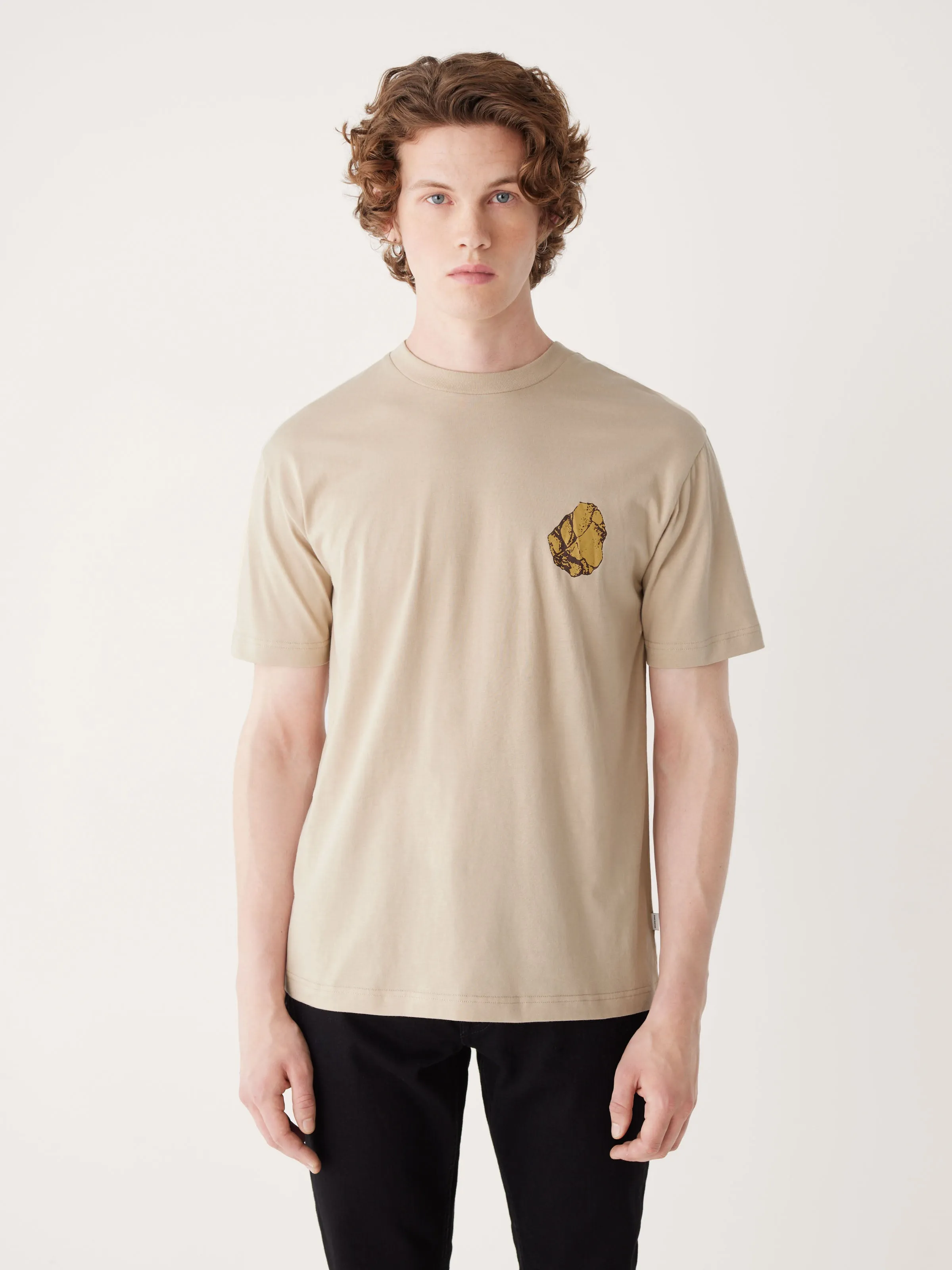 The Relaxed Fit Graphic T-shirt in Hummus Brown