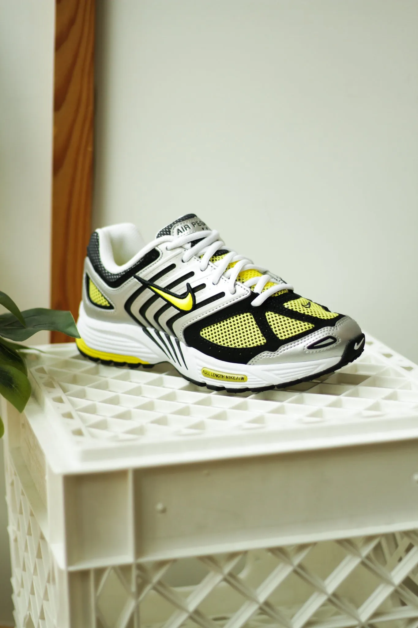 W PEGASUS 2005 "OPTI YELLOW"